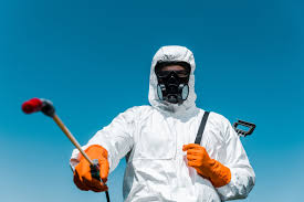 Best Emergency Pest Control  in Robinhood, MS